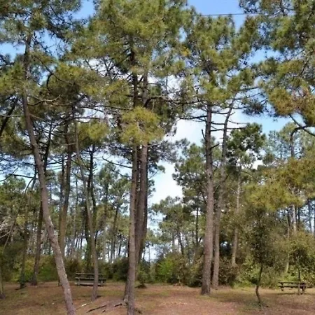 House 4 Personnes Noirmoutier : Maison De Vacances Pour 4 Personnes Dans Le Bois Des Eloux A L'epine. L'Epine (Vendee)